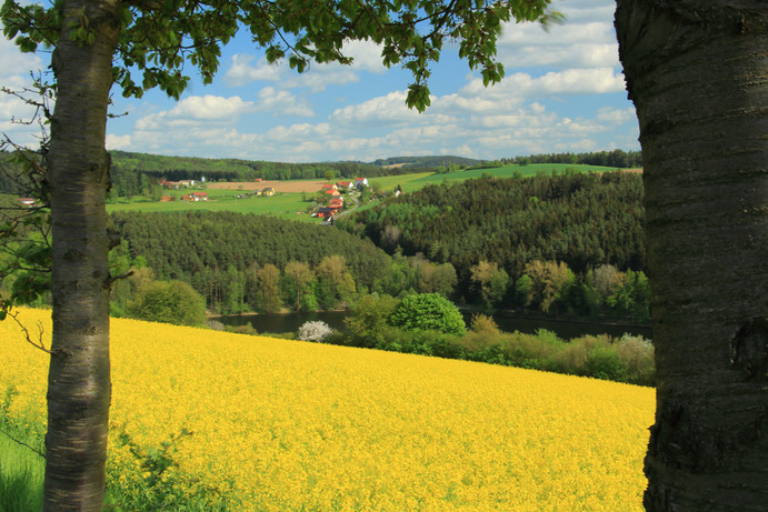 Ansicht auf Bierlhof und Oberpierlhof