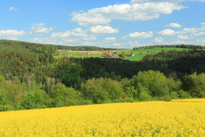 Ansicht auf Bierlhof und Oberpierlhof