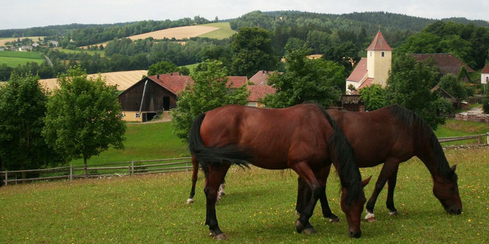 Reiterhof Reisach