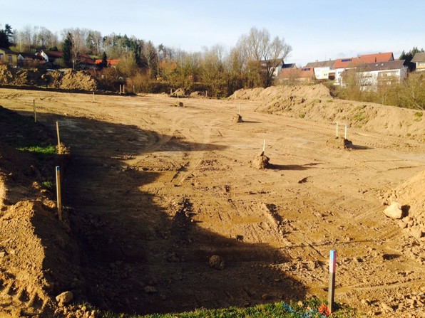 In der Lohe - April 2017