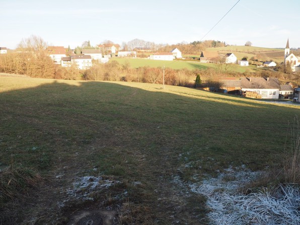 In der Lohe - Januar 2017