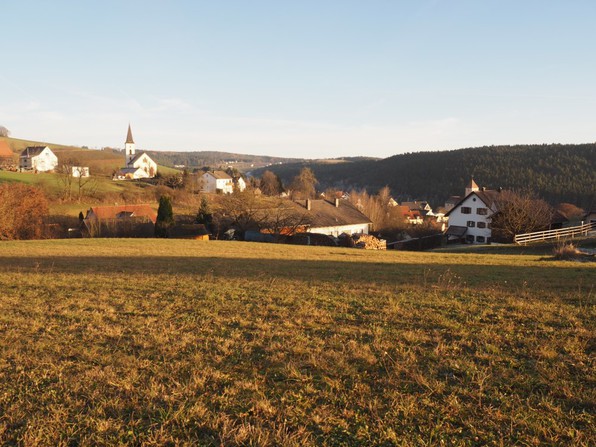 In der Lohe - Januar 2017