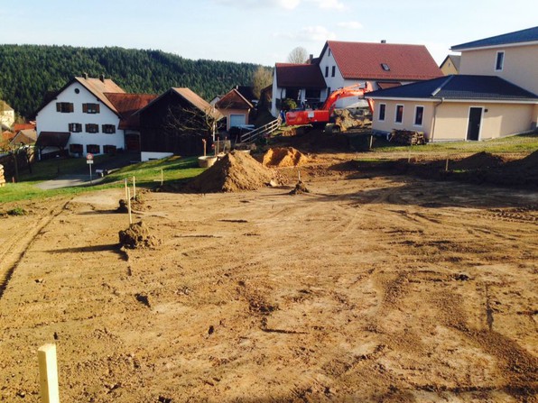 In der Lohe - April 2017