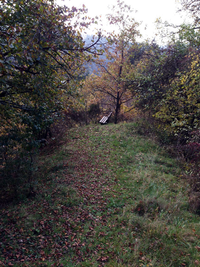 Rittersteig in Trausnitz
