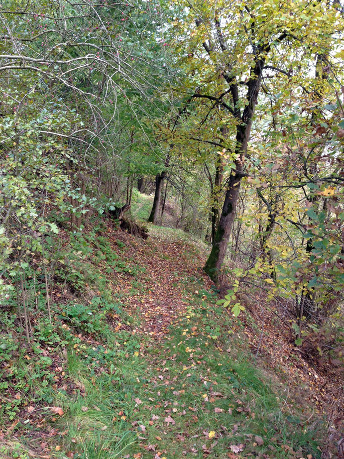 Rittersteig in Trausnitz