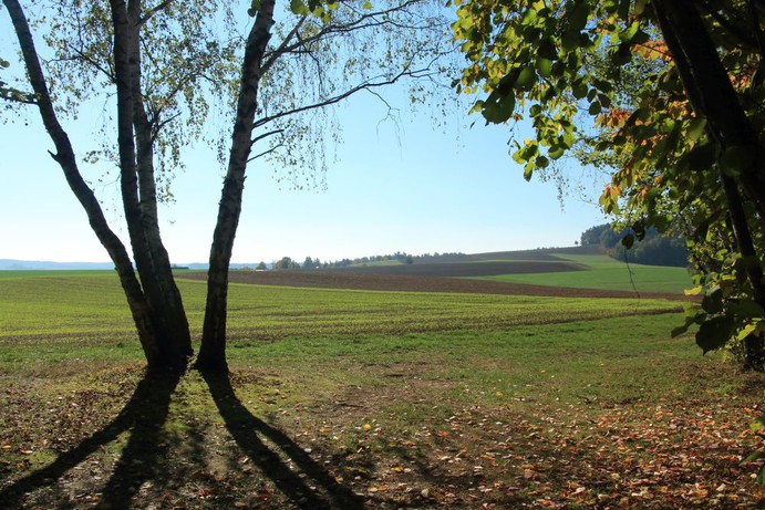 Landschaftsaufnahme Nähe Söllitz