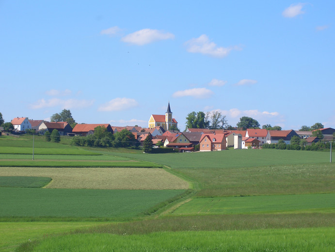 Ortsansicht Söllitz im Mai 2009